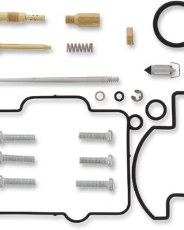Carburetor Repair Kit