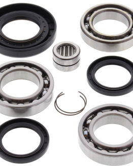 Rear Differential Bearing & Seal Kit