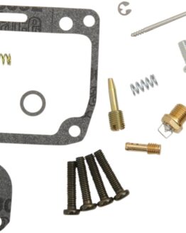 Carburetor Repair Kit