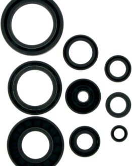 Oil Seal Kit