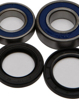 Rear Wheel Bearing Kit