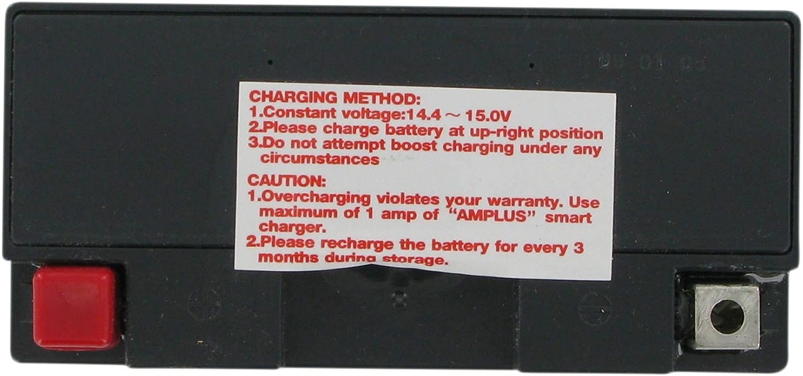 AGM Maintenance Free Battery 215CCA 12V 10Ah Factory Activated - Image 3