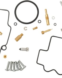 Carburetor Repair Kit