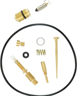 Carburetor Repair Kit