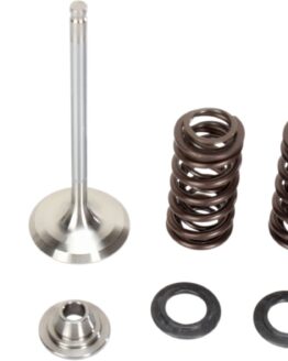 Stainless Exhaust Valve and Spring Kit