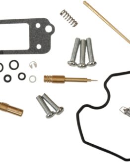 Carburetor Repair Kit