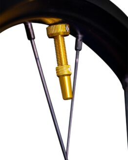 Tubeless Valve