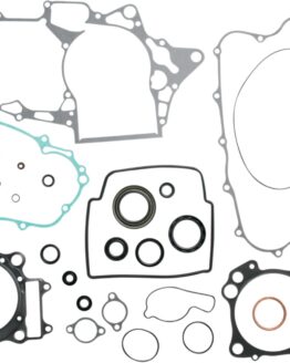 Complete Gasket Kit w/Oil Seals
