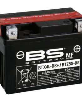 AGM Maintenance Free Battery YTZ5S-BS