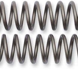 Fork Springs 0.50KG
