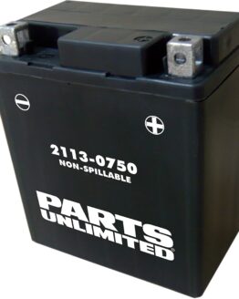 AGM Maintenance Free Battery 100CCA 12V 6Ah Factory Activated