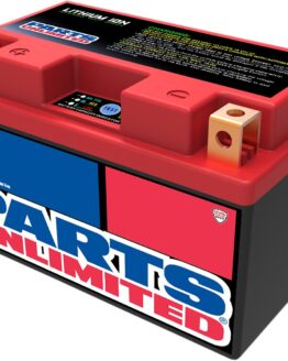 LiFePO4 Lithium-Ion Battery