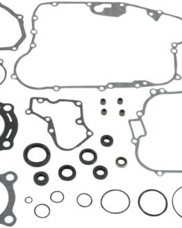 Complete Gasket Kit w/Oil Seals