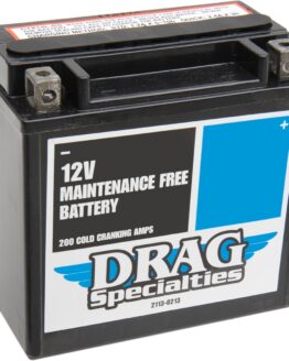 YTX AGM Maintenance Free Battery 200CCA 12V 12Ah