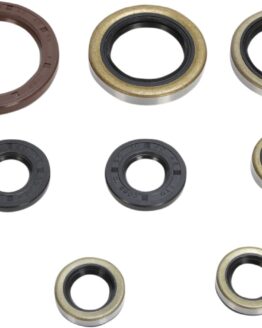 Oil Seal Kit