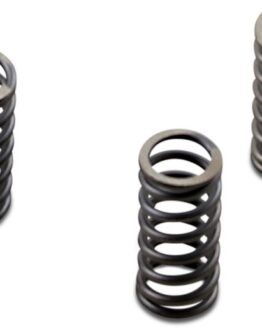 CSK Coil & Diaphragm Spring Kit