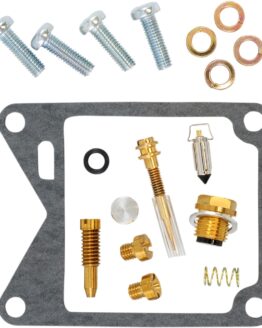Carburetor Repair Kit
