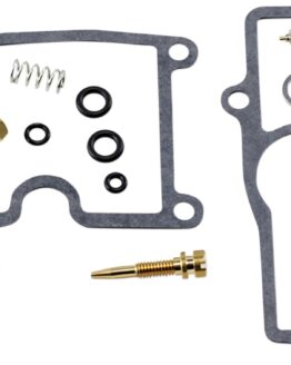 Carburetor Repair Kit