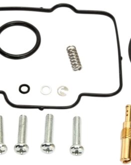 Carburetor Repair Kit