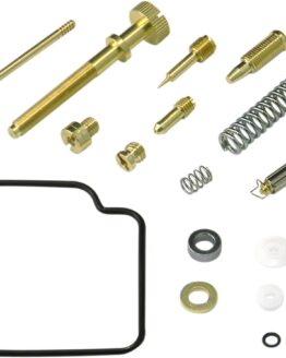 Carburetor Repair Kit