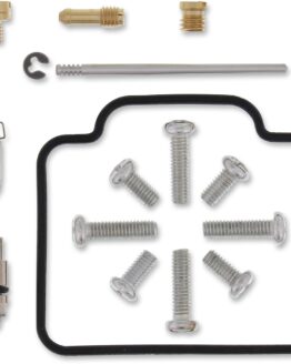 UTV Carburetor Repair Kit