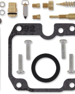 Carburetor Repair Kit