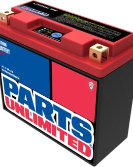 LiFePO4 Lithium-Ion Battery