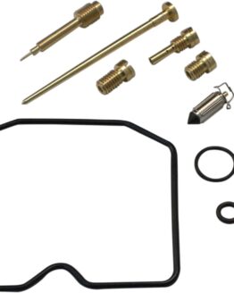 Carburetor Repair Kit