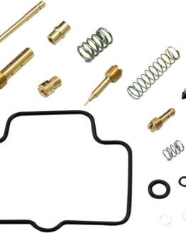 Carburetor Repair Kit