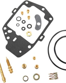 Carburetor Repair Kit