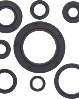 Vertex Engine & Trans Oil Seal Kit Fits 92-01 Honda CR250R