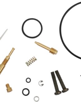 Carburetor Repair Kit