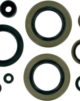 Oil Seal Kit
