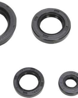 Oil Seal Kit