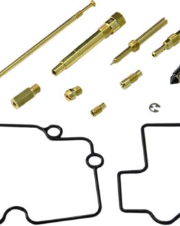 Carburetor Repair Kit