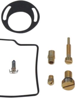 Carburetor Repair Kit