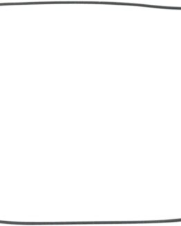 Outer Clutch Cover Gasket / O-Ring