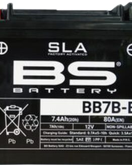 SLA Factory Activated AGM Maintenance Free Battery