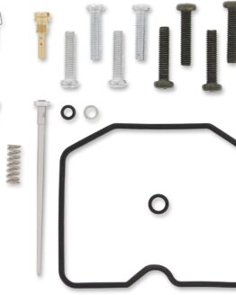Carburetor Repair Kit