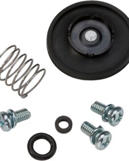 Accelerator Pump Rebuild Kit