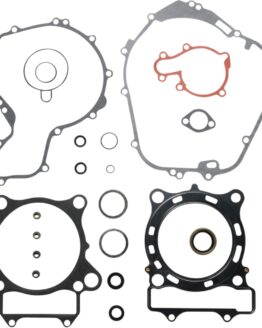 Complete Gasket Kit w/Oil Seals