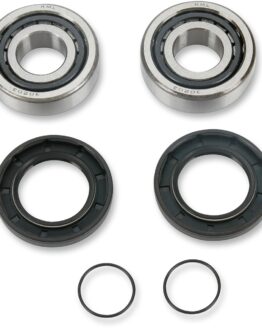 Swingarm Bearing Kit