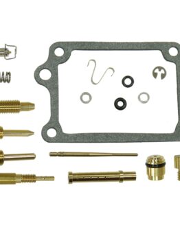 Bronco ATV Carburetor Kit AU-07481