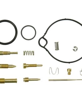 Bronco ATV Carburetor Kit AU-07476