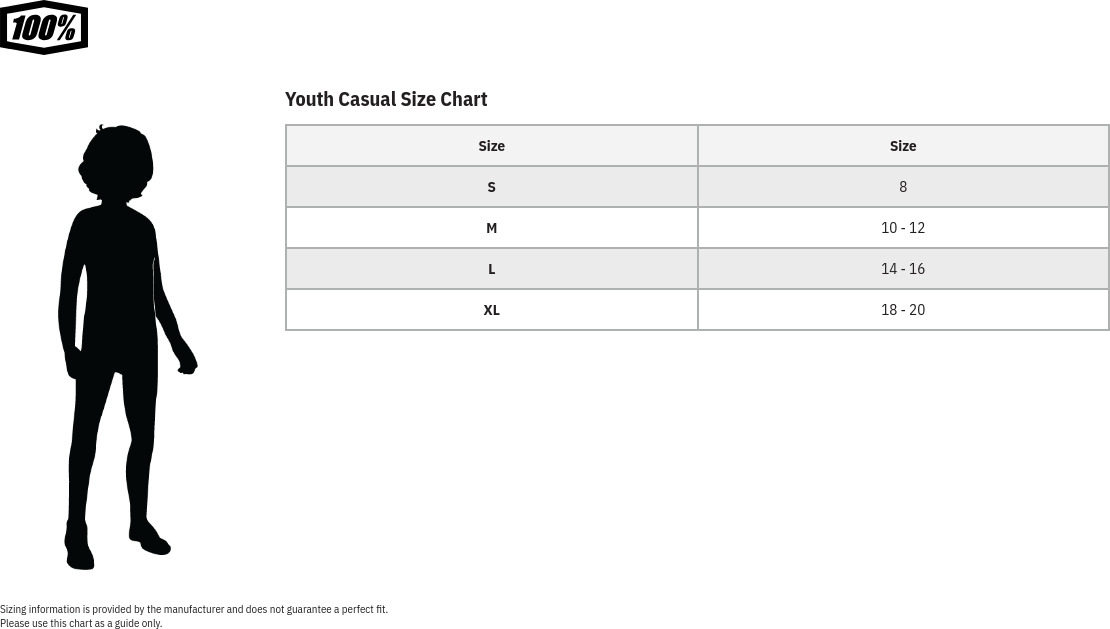 100% Youth Icon Hoody - Heather Gray, Youth Large - Image 3