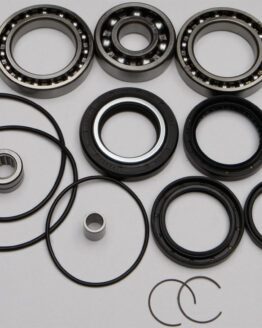 Rear Differential Bearing & Seal Kit
