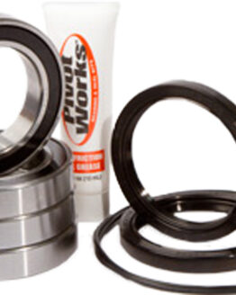 Rear Wheel Bearing Kit