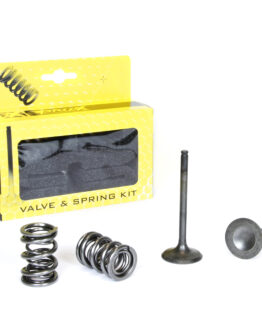 Steel Exhaust Valve/Spring Kit