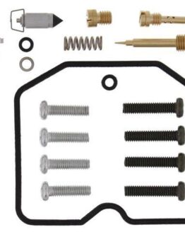 Carburetor Rebuild Kit