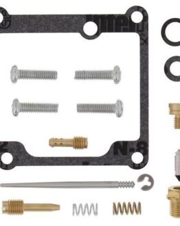 Carburetor Rebuild Kit